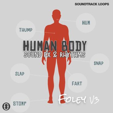 Human Body