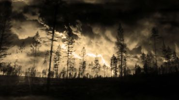 Lightning storm and trees