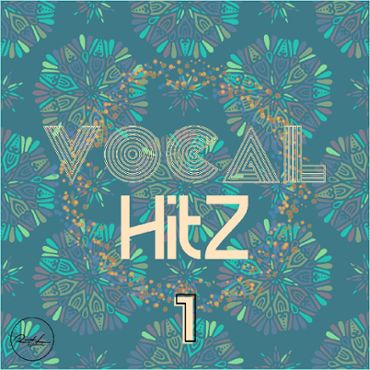 Vocal Hits Vol 1