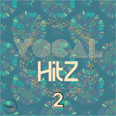 Vocal Hits Vol 2