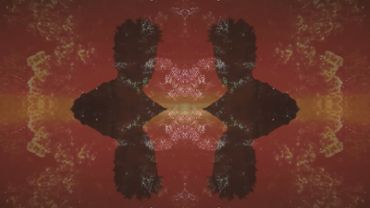 Conceptual Nature Shot