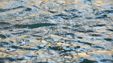 Water Texture Reflection