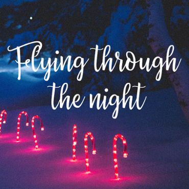 Flying through the night