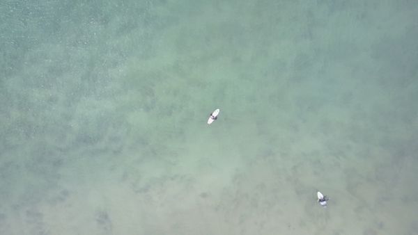 Waiting For The Wave