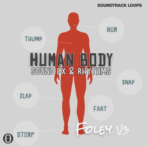 Human Body