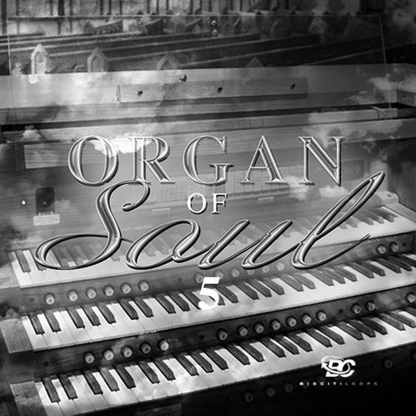 Organ Of Soul 5