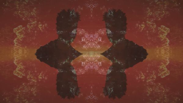 Conceptual Nature Shot