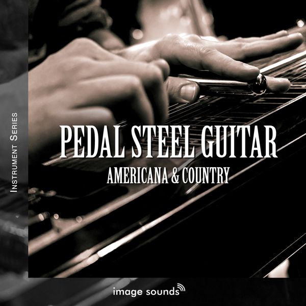 Pedal Steel Guitar - Americana & Country