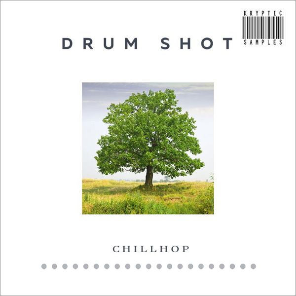 Drum Shot: Chillhop