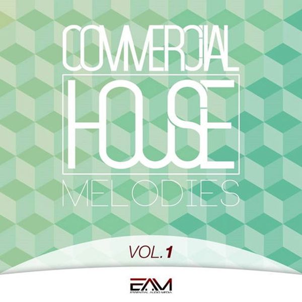 Commercial House Melodies Vol 1